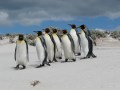 Falklandy/Malwiny