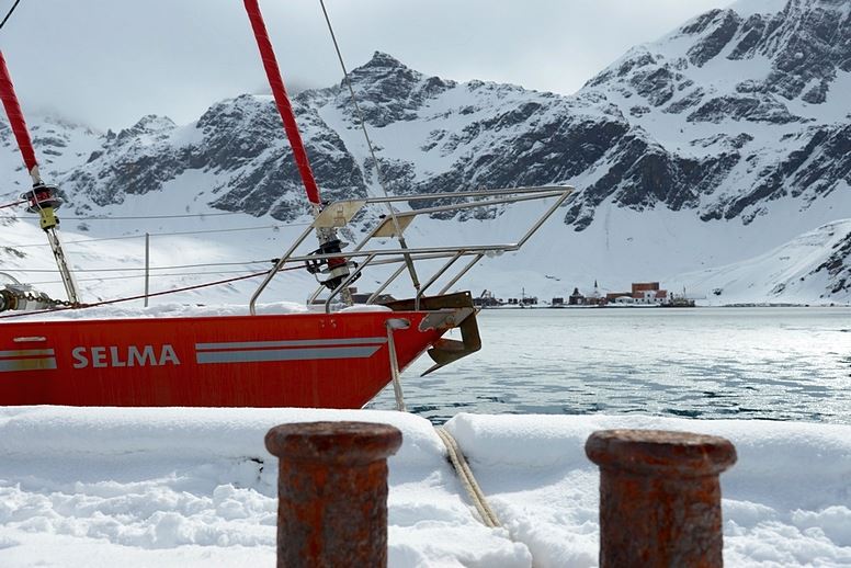 Wyprawa na Georgię Południową, Grytviken 2013