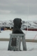 Pomnik Roalda Amundsena.
