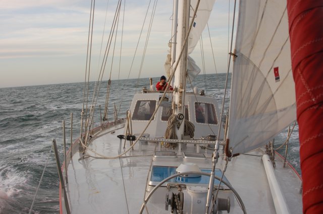 dsc_3963.jpg